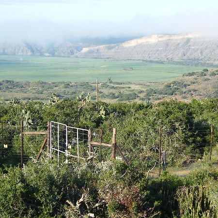 Kudu Ridge Game Lodge Аддо Екстер'єр фото