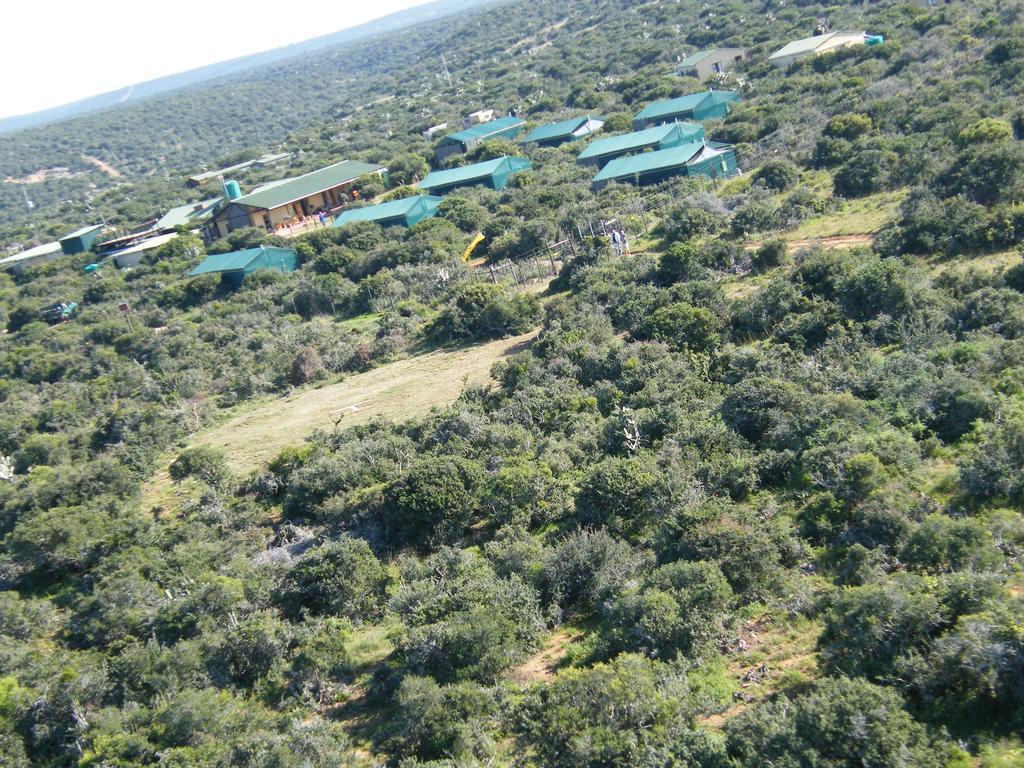 Kudu Ridge Game Lodge Аддо Екстер'єр фото