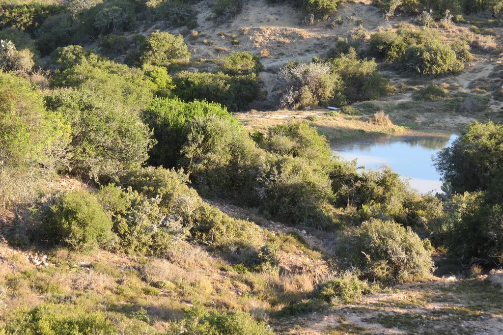 Kudu Ridge Game Lodge Аддо Екстер'єр фото