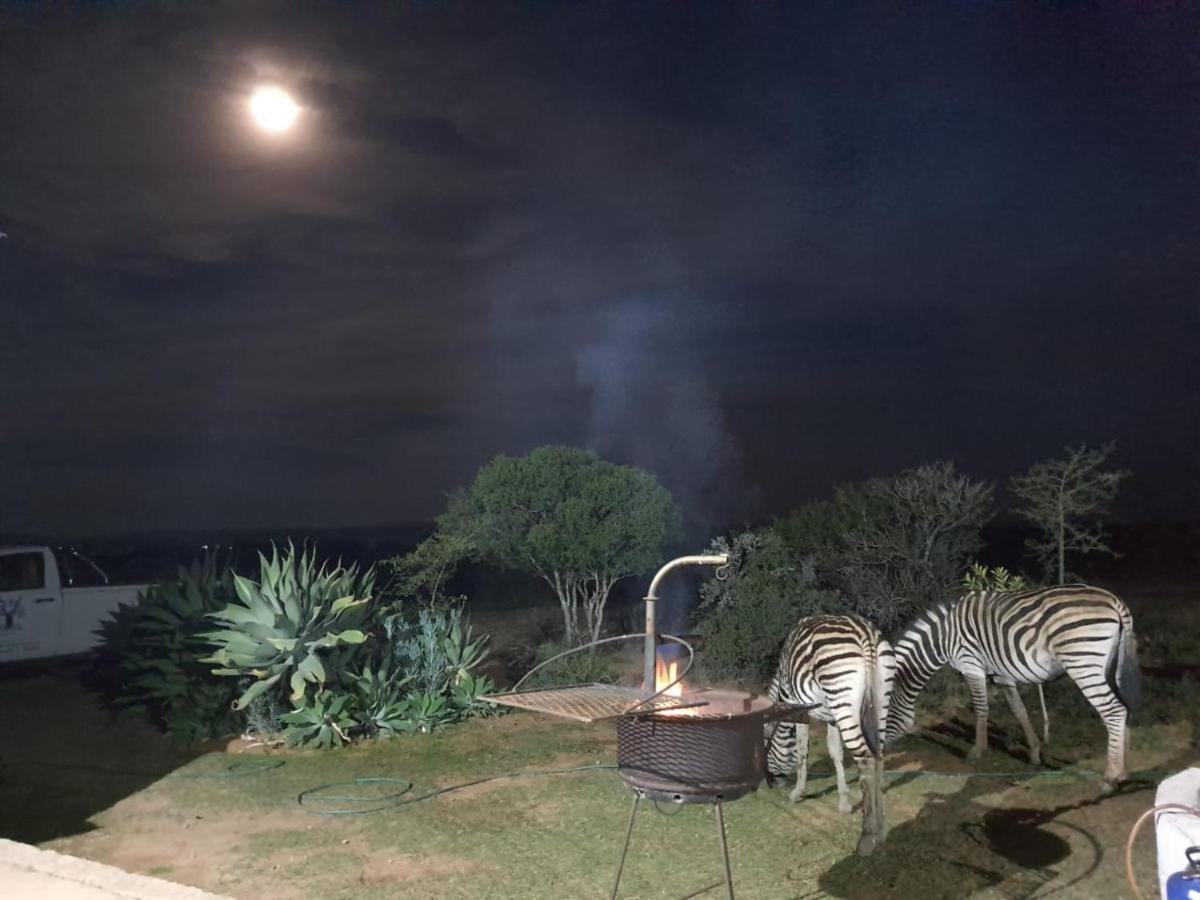 Kudu Ridge Game Lodge Аддо Екстер'єр фото