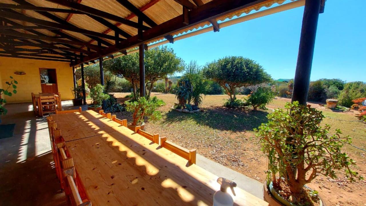 Kudu Ridge Game Lodge Аддо Екстер'єр фото