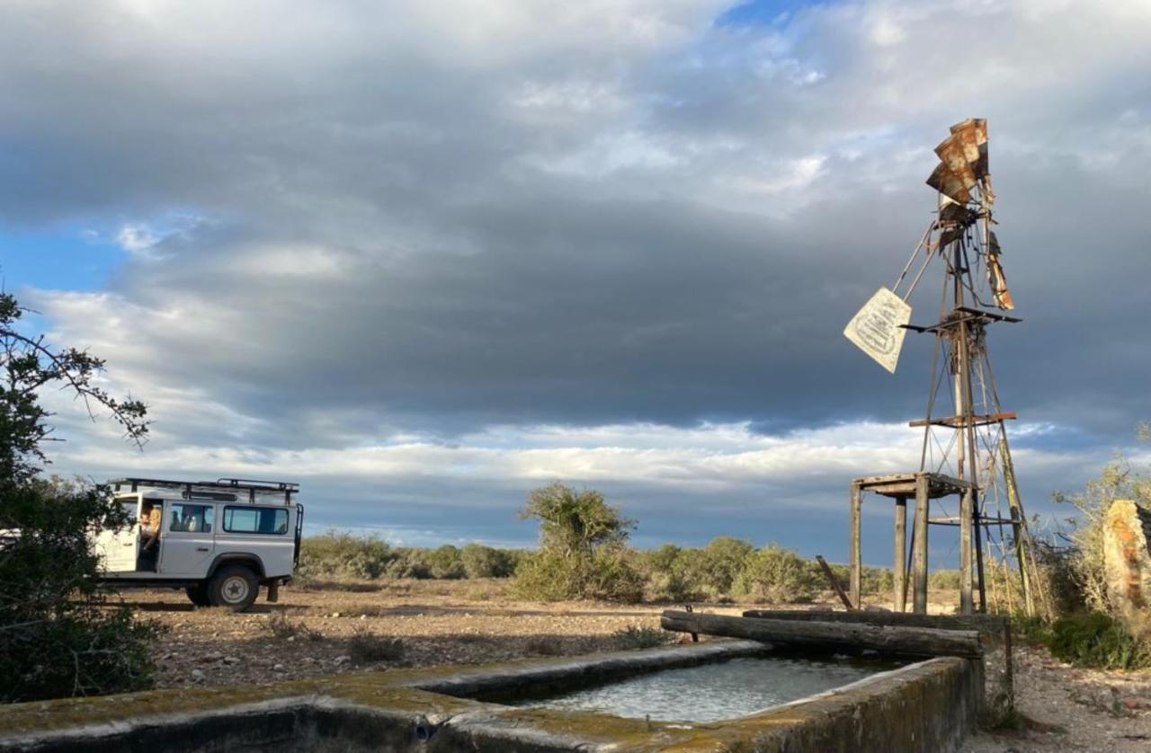 Kudu Ridge Game Lodge Аддо Екстер'єр фото