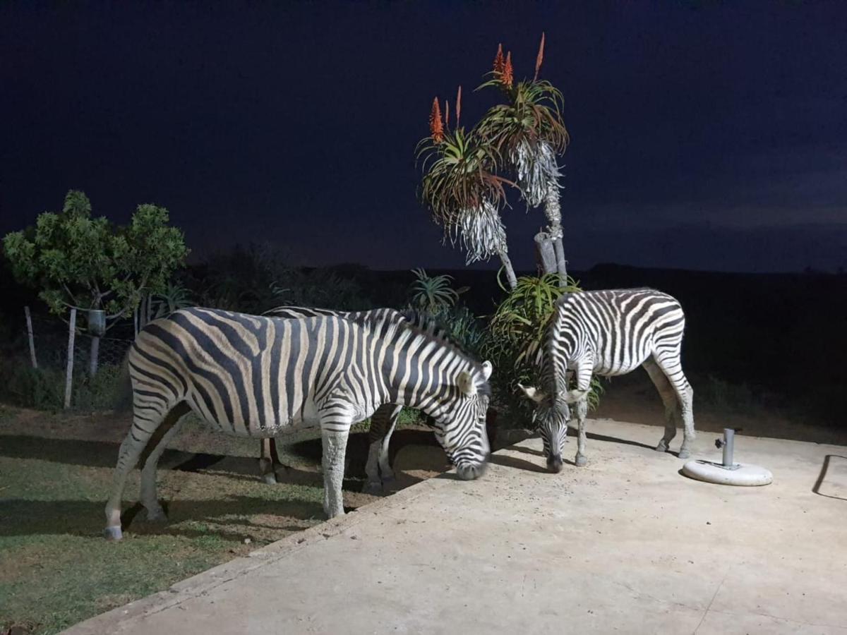 Kudu Ridge Game Lodge Аддо Екстер'єр фото