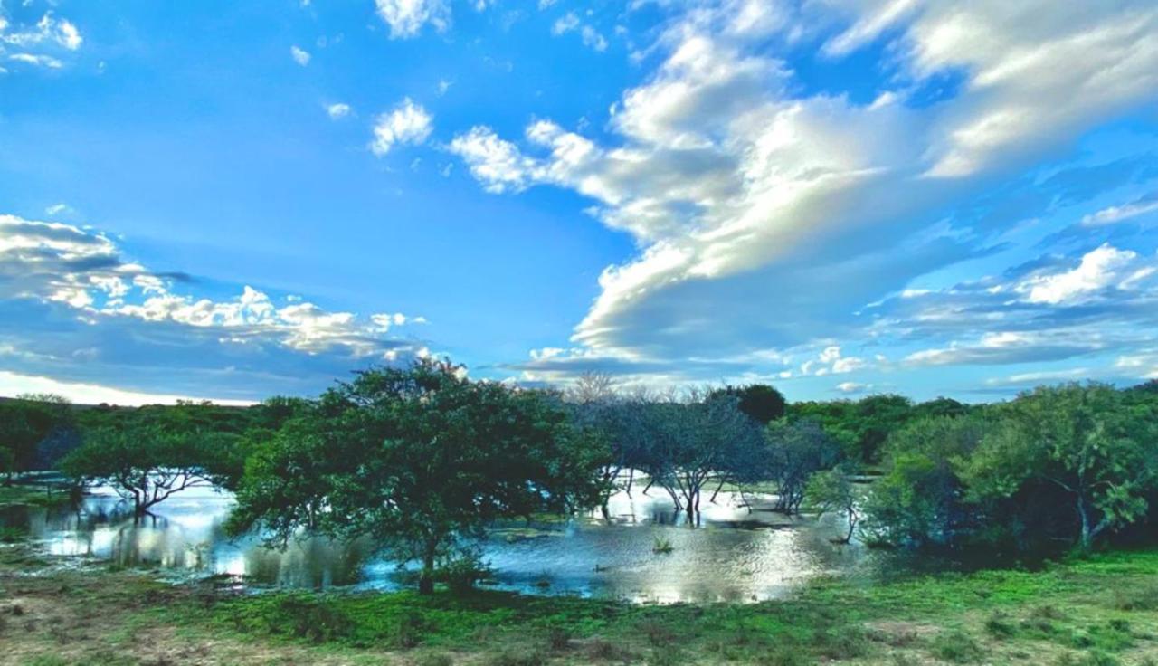 Kudu Ridge Game Lodge Аддо Екстер'єр фото