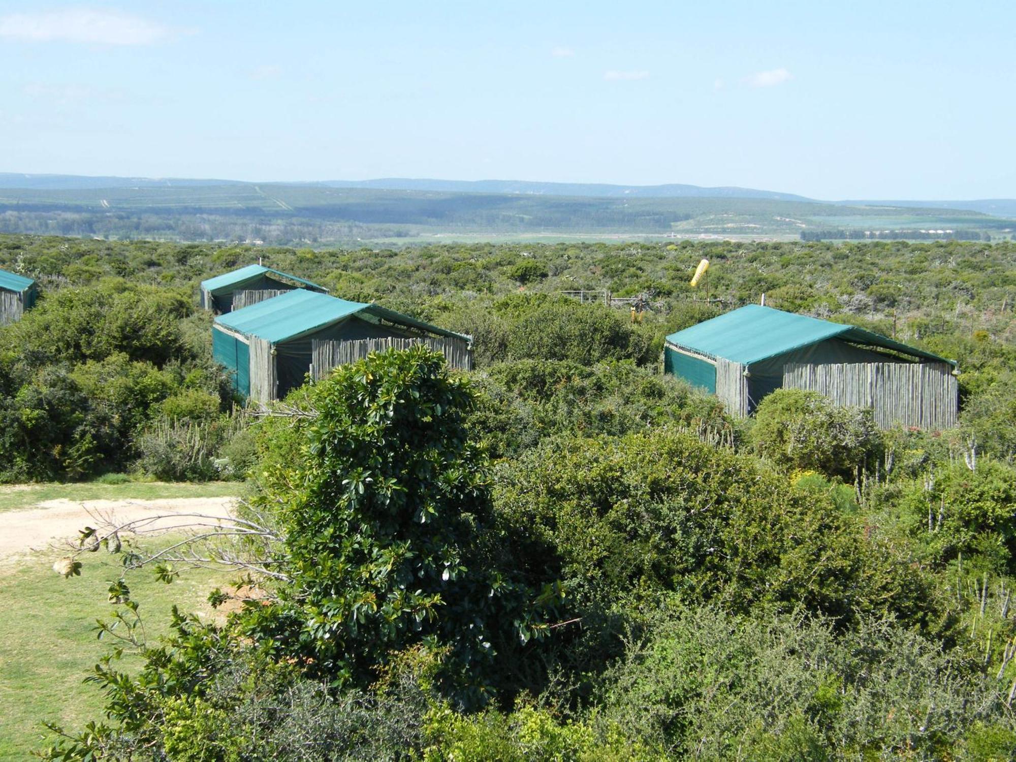Kudu Ridge Game Lodge Аддо Номер фото