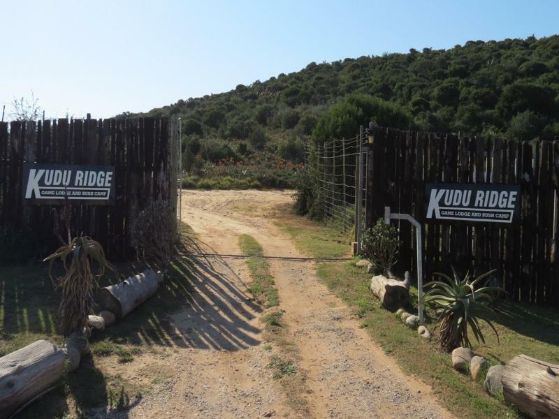 Kudu Ridge Game Lodge Аддо Екстер'єр фото