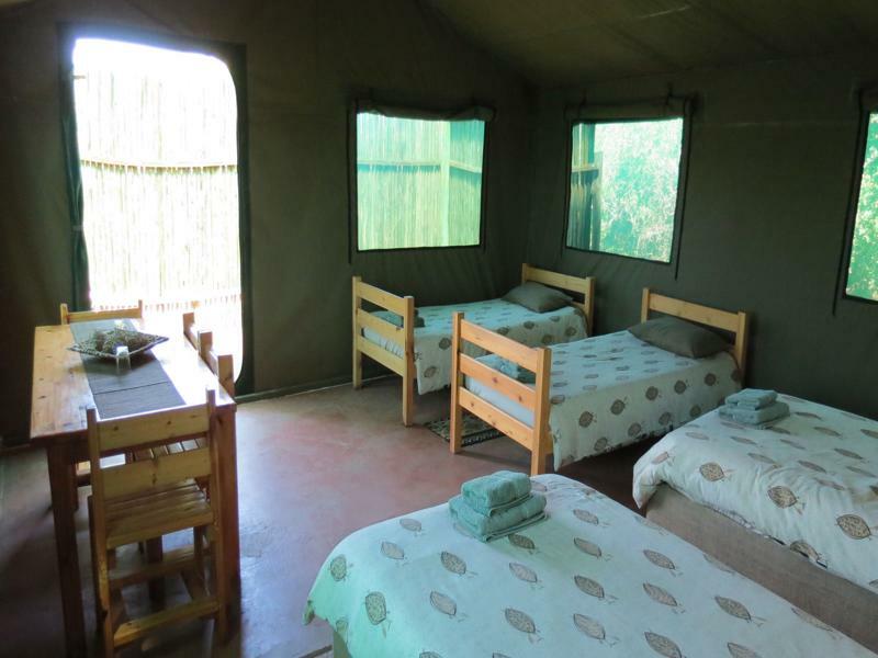Kudu Ridge Game Lodge Аддо Екстер'єр фото
